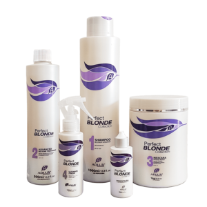 Kit Reconstrução – Perfect Blonde Profissional – 5 Passos